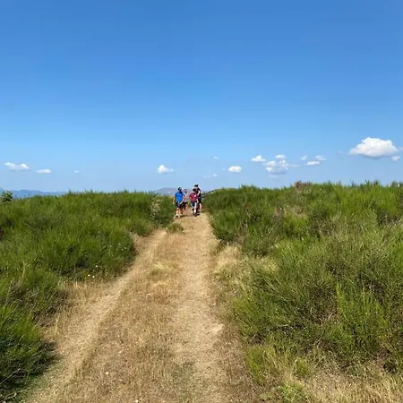 Di קמפוטוסטו